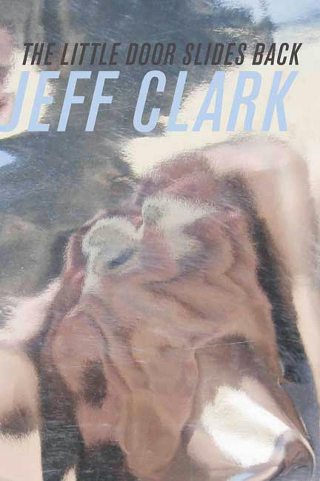 Clark, Jeff: The Little Door Slides Back