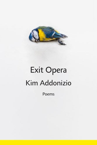 Addonizio, Kim: Exit Opera (HB)