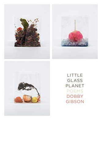 Gibson, Dobby: Little Glass Planet