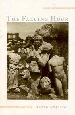 Wojahn, David: The Falling Hour [used paperback]