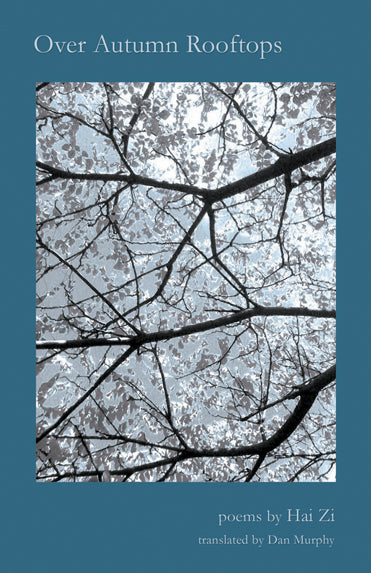 Zi, Hai: Over Autumn Rooftops
