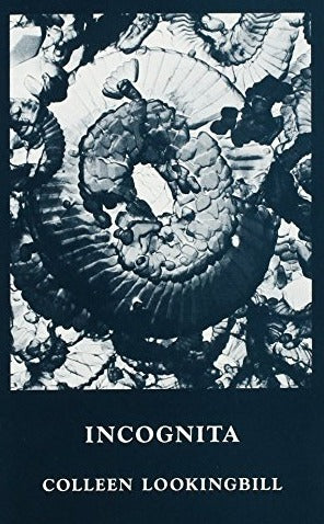 Lookingbill, Colleen: Incognita [used paperback]