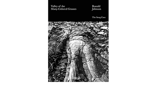 Johnson, Ronald: The Valley of Many-Colored Grasses