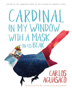 Aguasaco, Carlos: Cardinal in My Window with a Mask on Its Beak