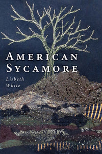 White, Lisbeth: American Sycamore