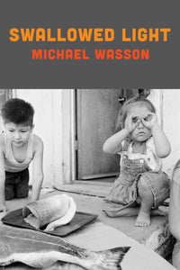 Wasson, Michael: Swallowed Light