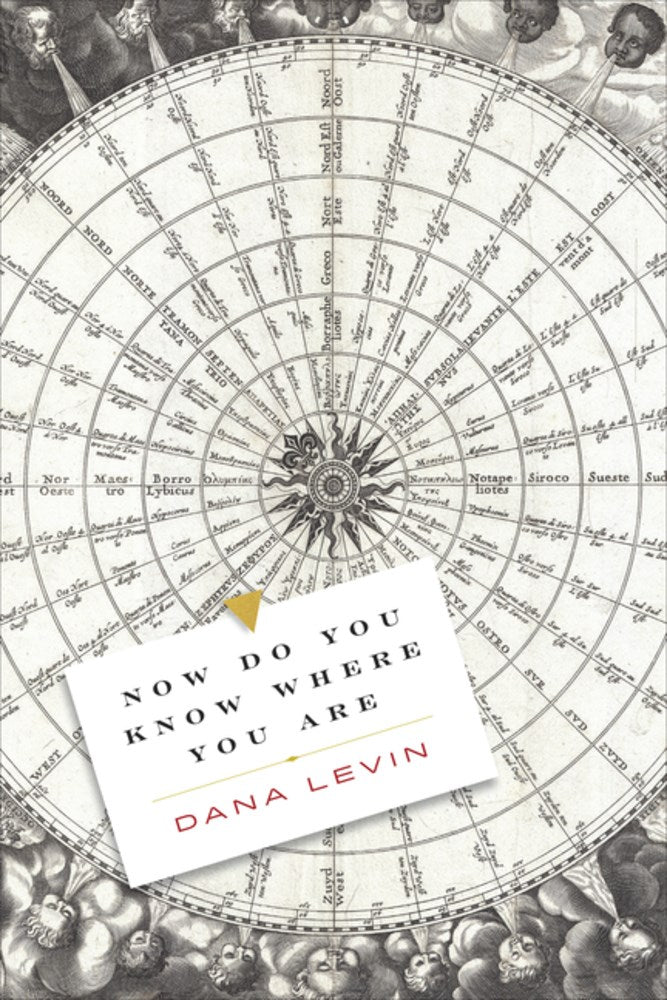 Levin, Dana: Now Do You Know Where You Are
