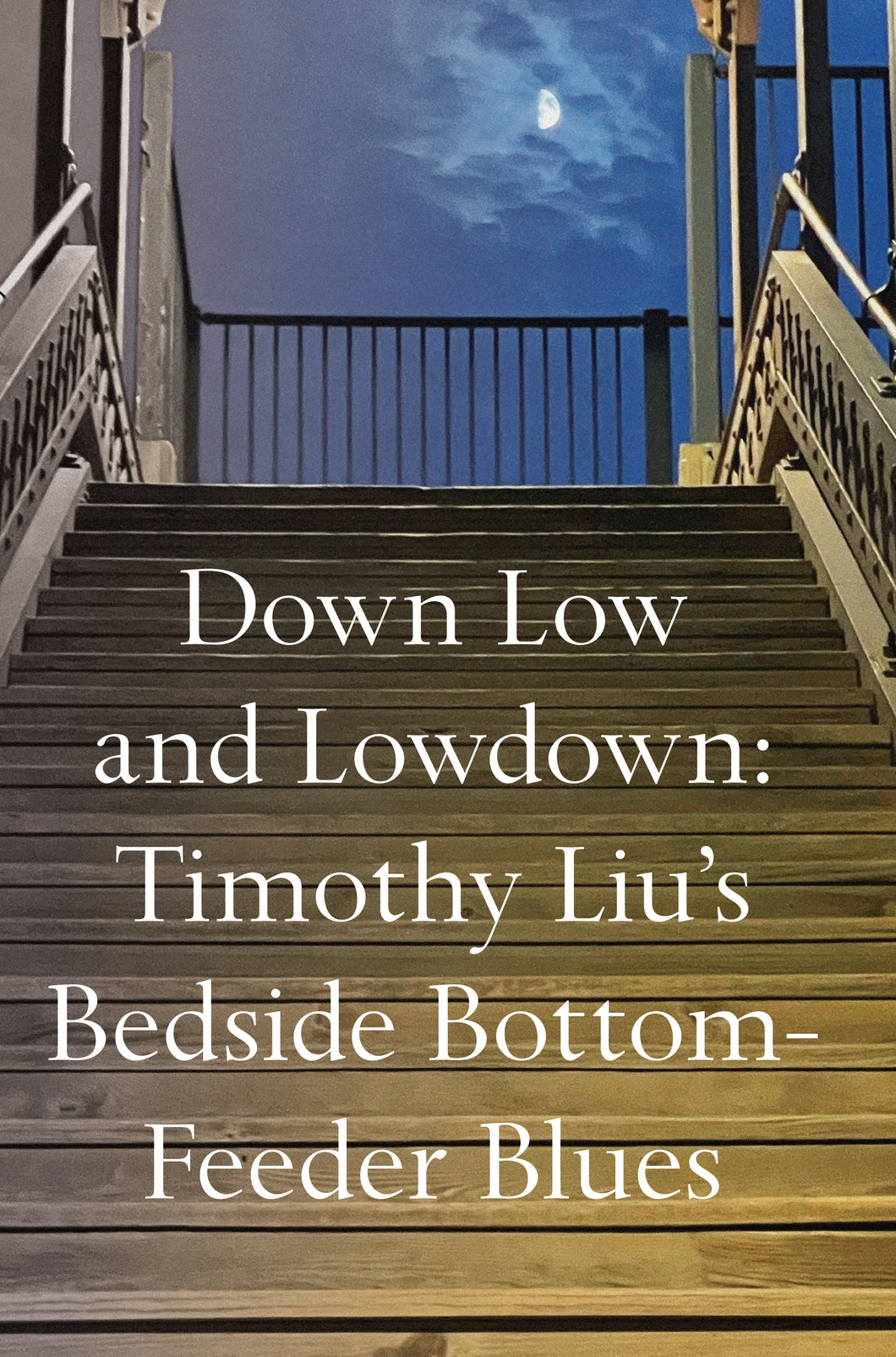 Liu, Timothy: Down Low and Low Down: Bottom Feeder Blues
