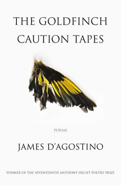 D, James: Goldfinch Caution Tapes