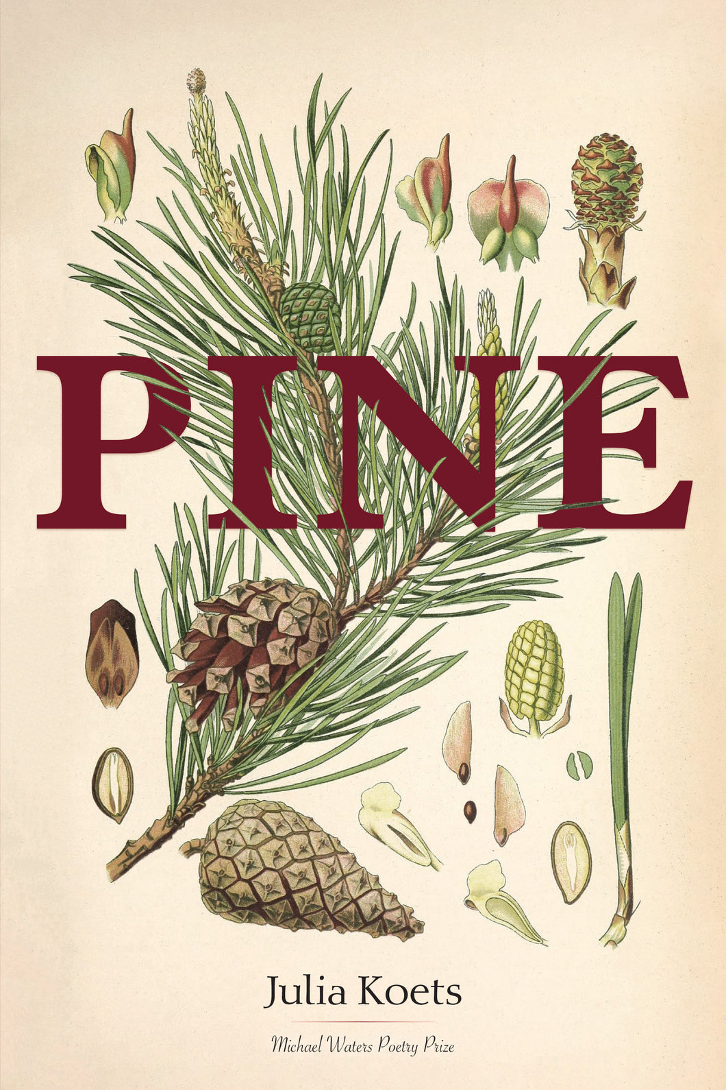 Koets, Julia: Pine