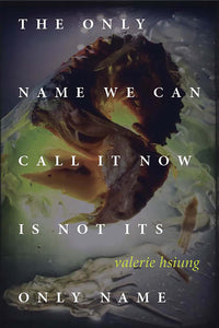 Hsiung, Valerie: Only Name We Can Call It Now Is Not Its Only Name