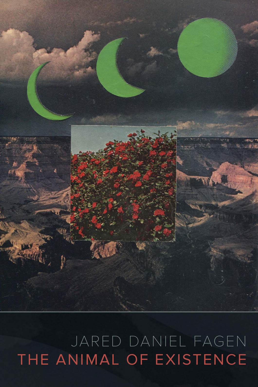Fagen, Jared Daniel: Animal of Existence