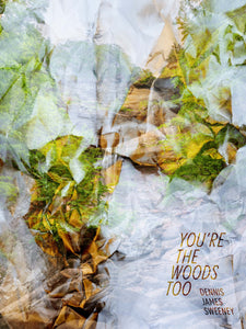 Sweeney, Dennis James: You're the Woods Too