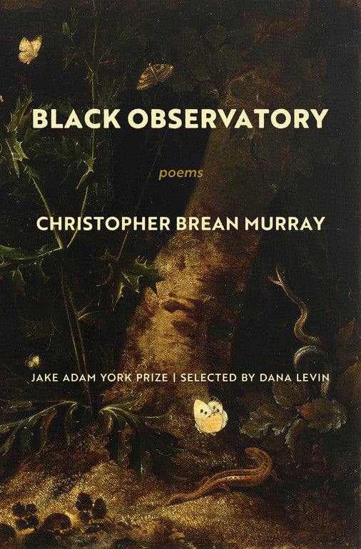 Brean Murray, Christopher: Black Observatory