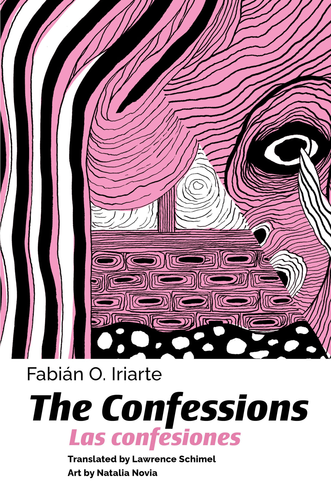 Iriarte, Fabiàn: Confessions