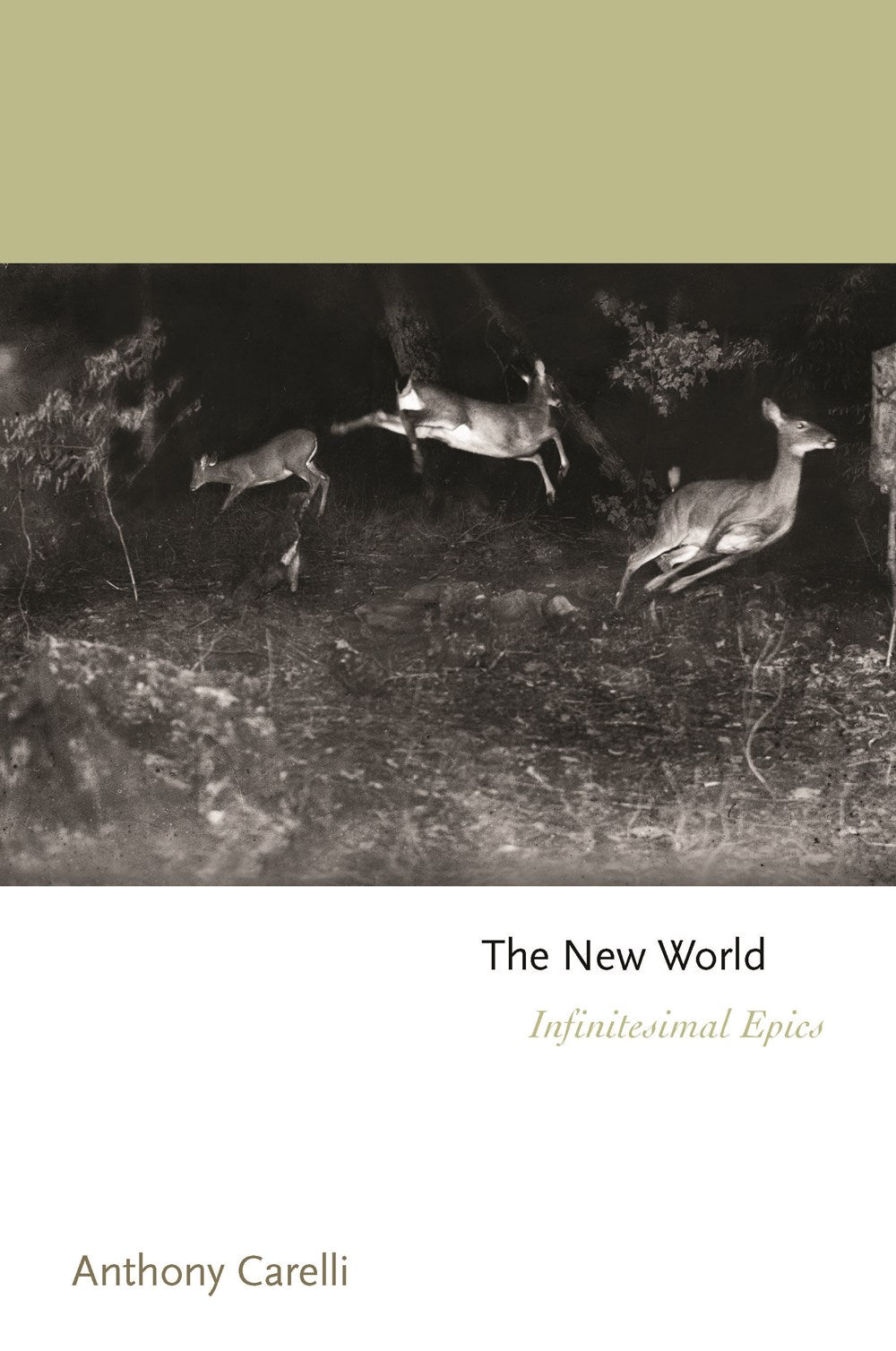 Carelli, Anthony: The New World: Infinitesimal Epics