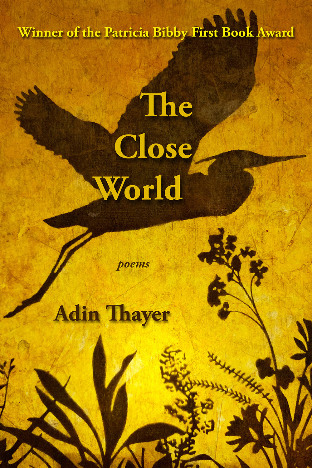 Thayer, Adin: The Close World