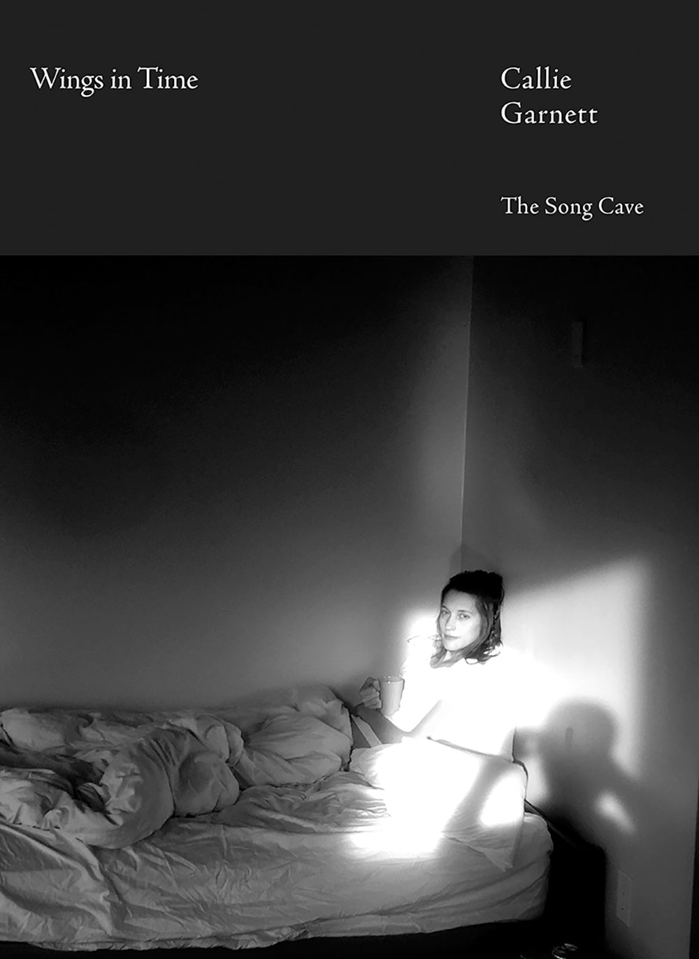 Garnett, Callie: Wings in Time