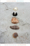 Waldner, Liz: Little House, Big House (Now How I Am an American) [used paperback]