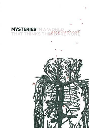 McDowell, Gary: Mysteries in a World That Thinks There Are None [used paperback]