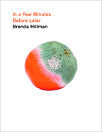 Hillman, Brenda: In a Few Minutes Before Later (HC)