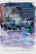 Brunson, David M.: Scar Where Goodbyes Are Written