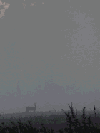 Heldén, Johannes: Astroecology [used hardcover]