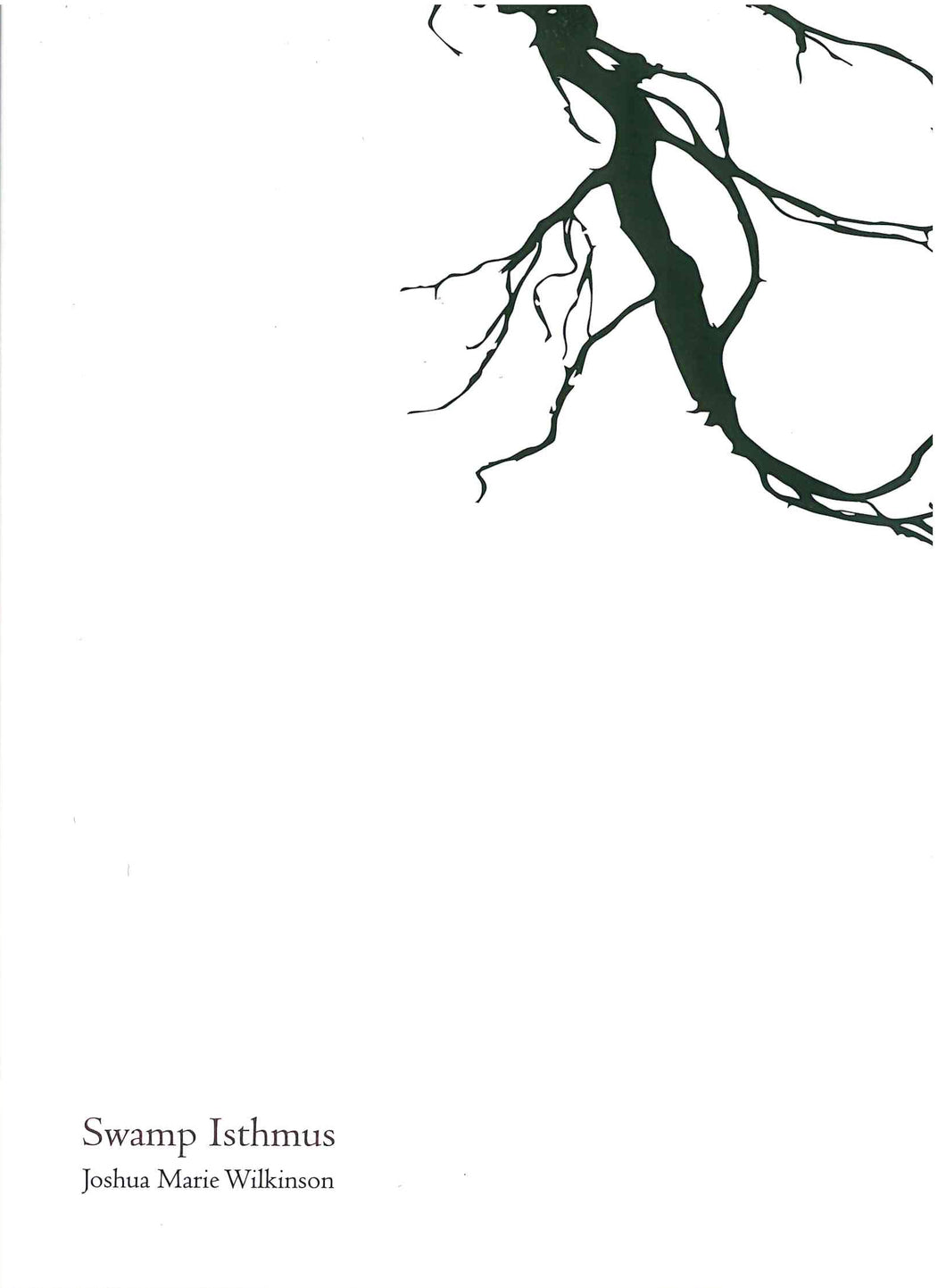 Wilkinson, Joshua Marie: Swamp Isthmus