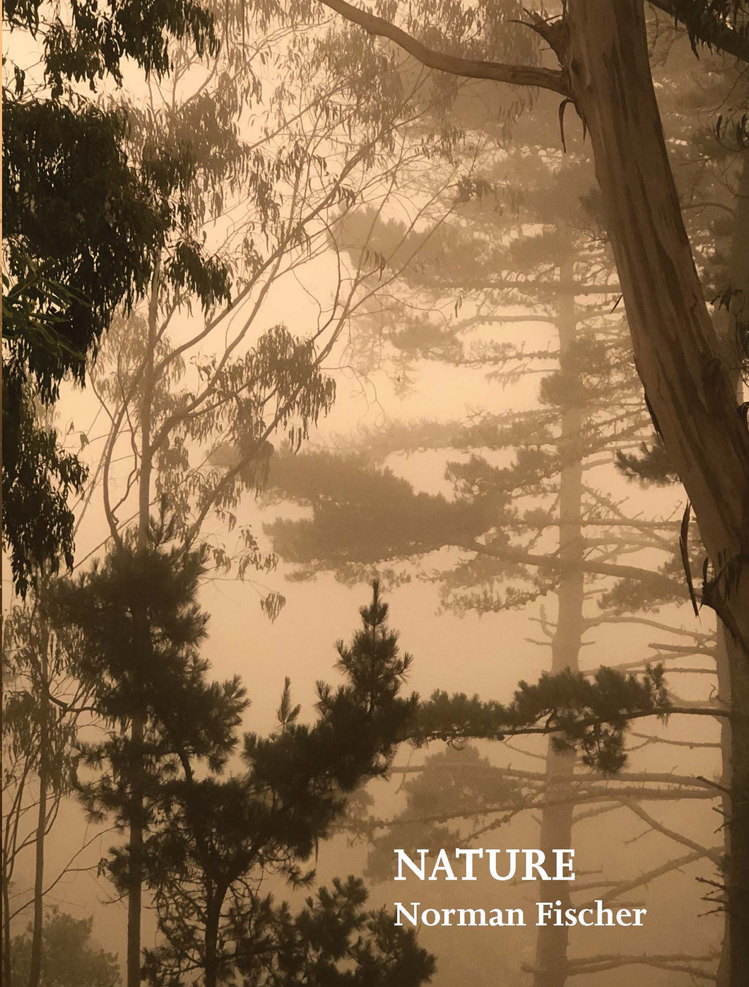 Fischer, Norman: Nature