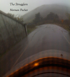 Fischer, Norman: The Strugglers [used paperback]