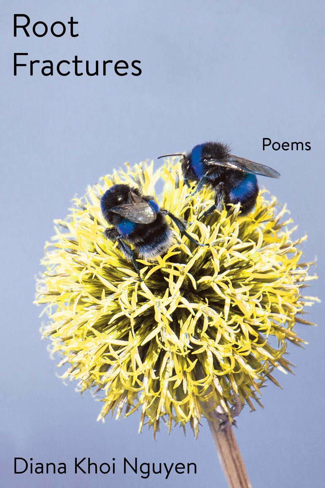 Nguyen, Diana Khoi: Root Fractures: Poems