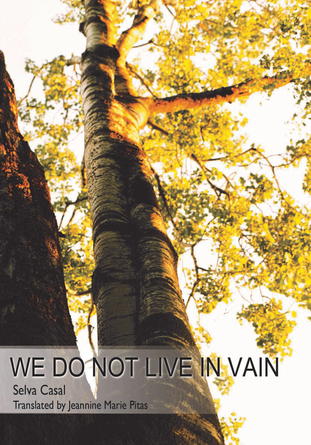 Casal, Selva: We Do Not Live in Vain