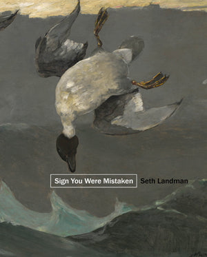 Landman, Seth: Sign You Were Mistaken [used paperback]