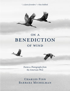 Finn, Charles and Barbara Michelman: On a Benediction of Wind
