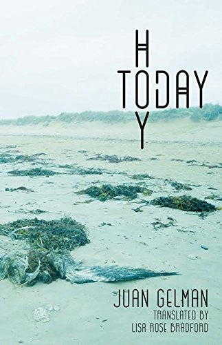 Gelman, Juan / Bradford, Lisa Rose (tr.): Hoy / Today