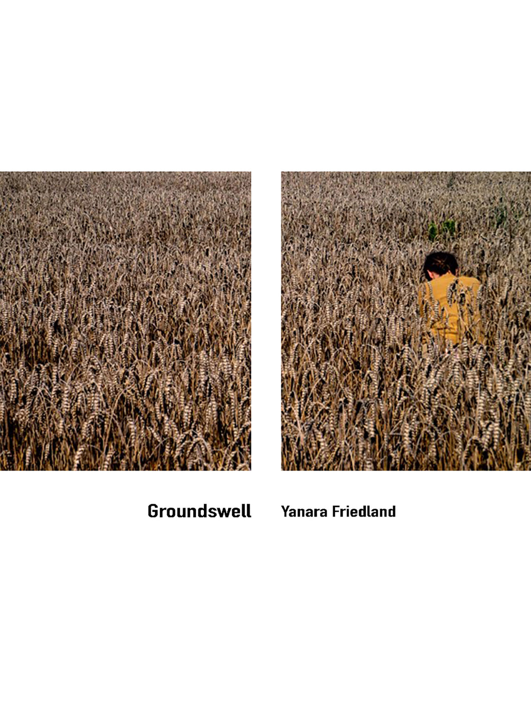 Friedland, Yanara: Groundswell
