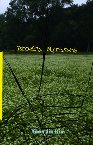 Kim, Yoon Sik: Broken Mirrors [used paperback]